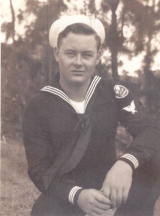 Gregg L. Layman, Navy